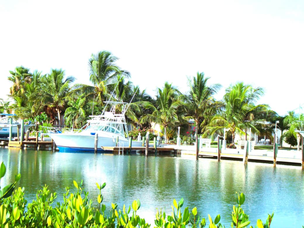 Dock with 42 ft boat 