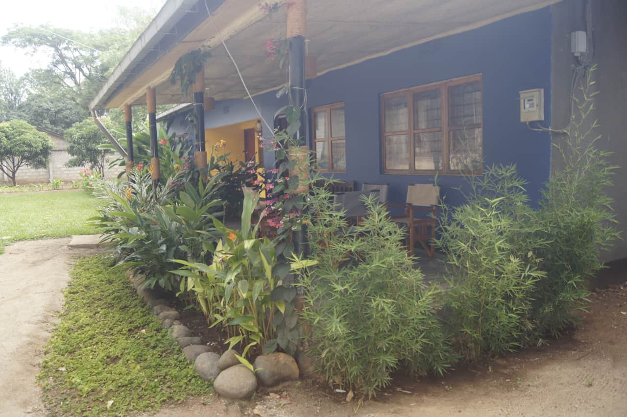 Blue Cactus Shanty by day