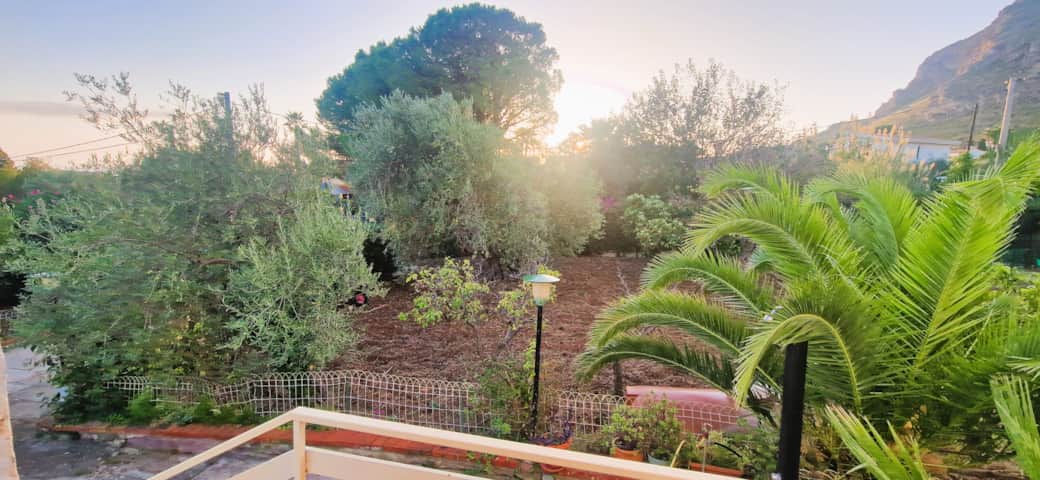 vie de jardin au lever du soleil