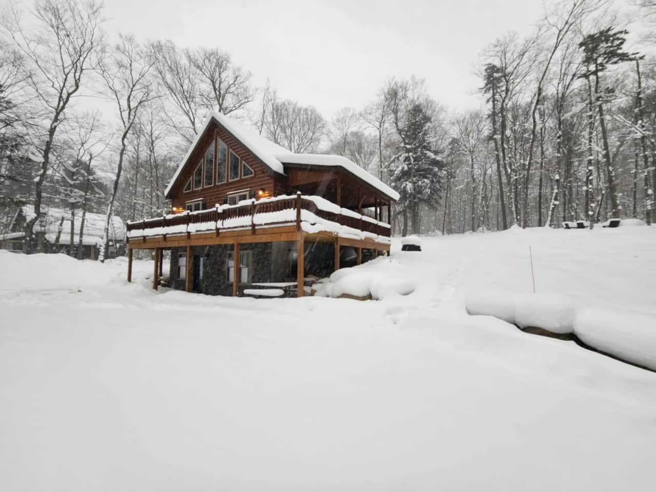 Blissful winter 2024