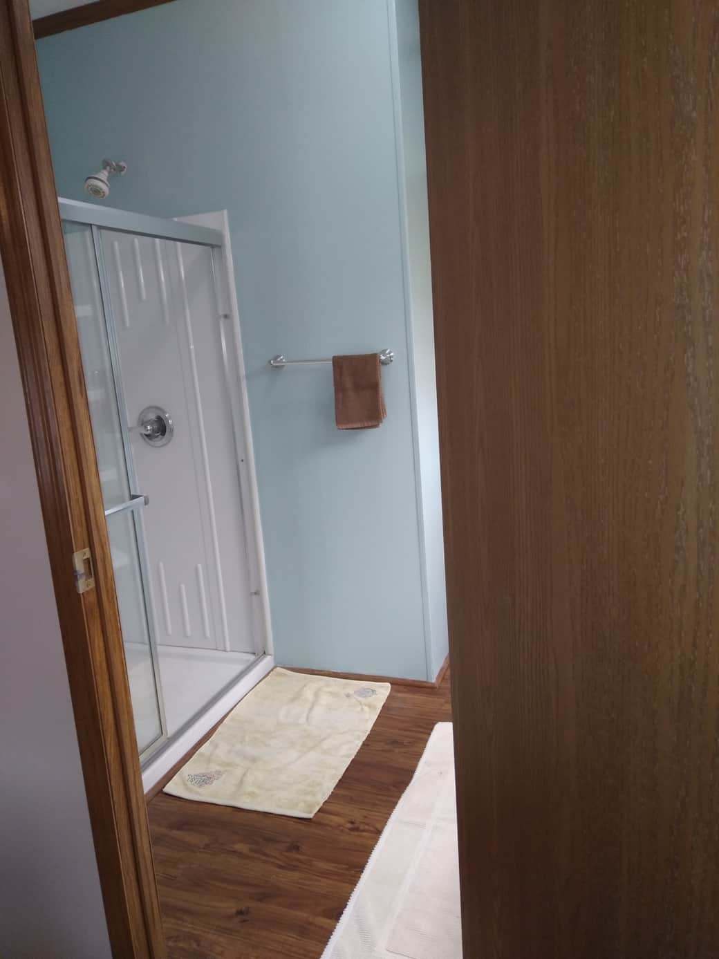 Master Bathroom - walk-in shower, toilet, sink