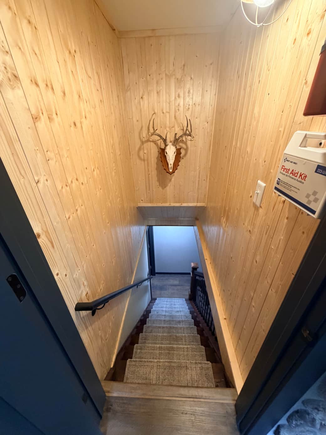 Lower level Living