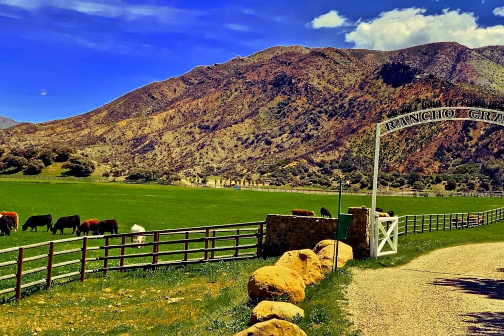 Rancho Grande continues the tradition of cattle ranching on the ranch, which began in 1875.