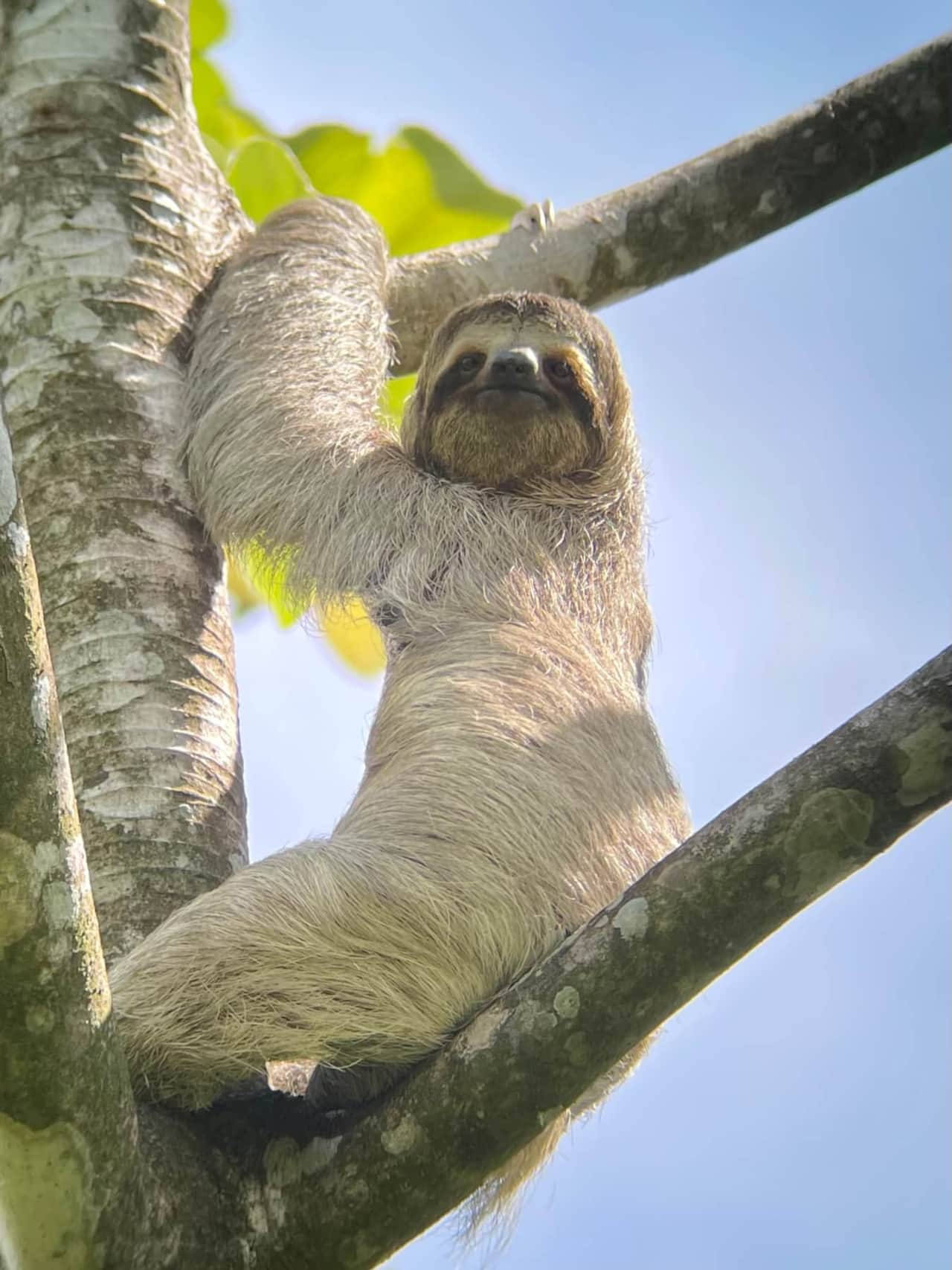 Manuel Antonio National Park