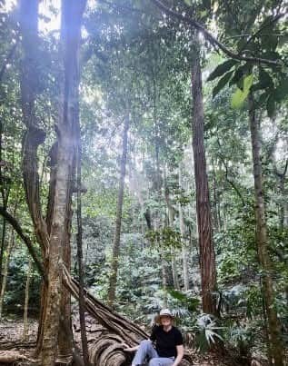 Minnamurra Rainforest Attractions Kiama