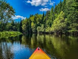 Turtle River View from Kayak Turtle River View from Kayak