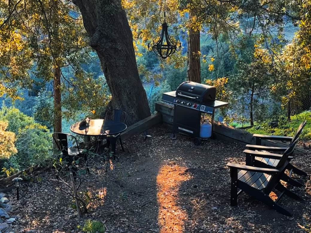 Barbecue under the old oak.