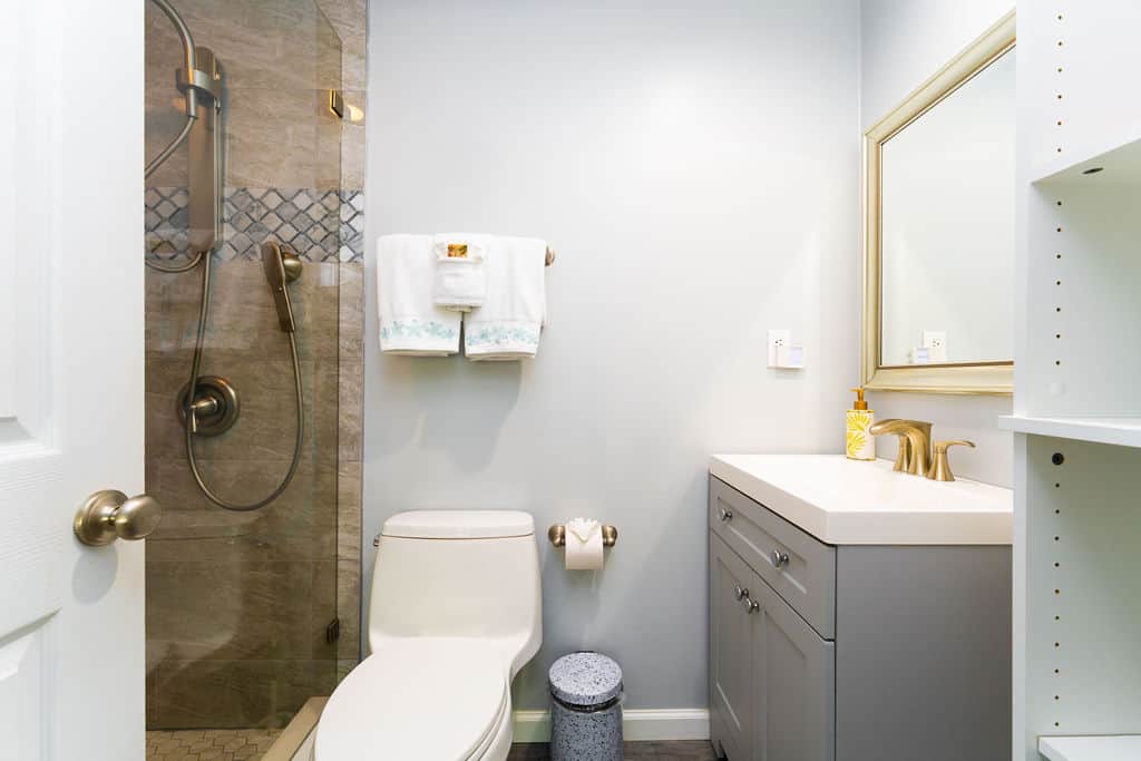 Primary Bathroom With Shower