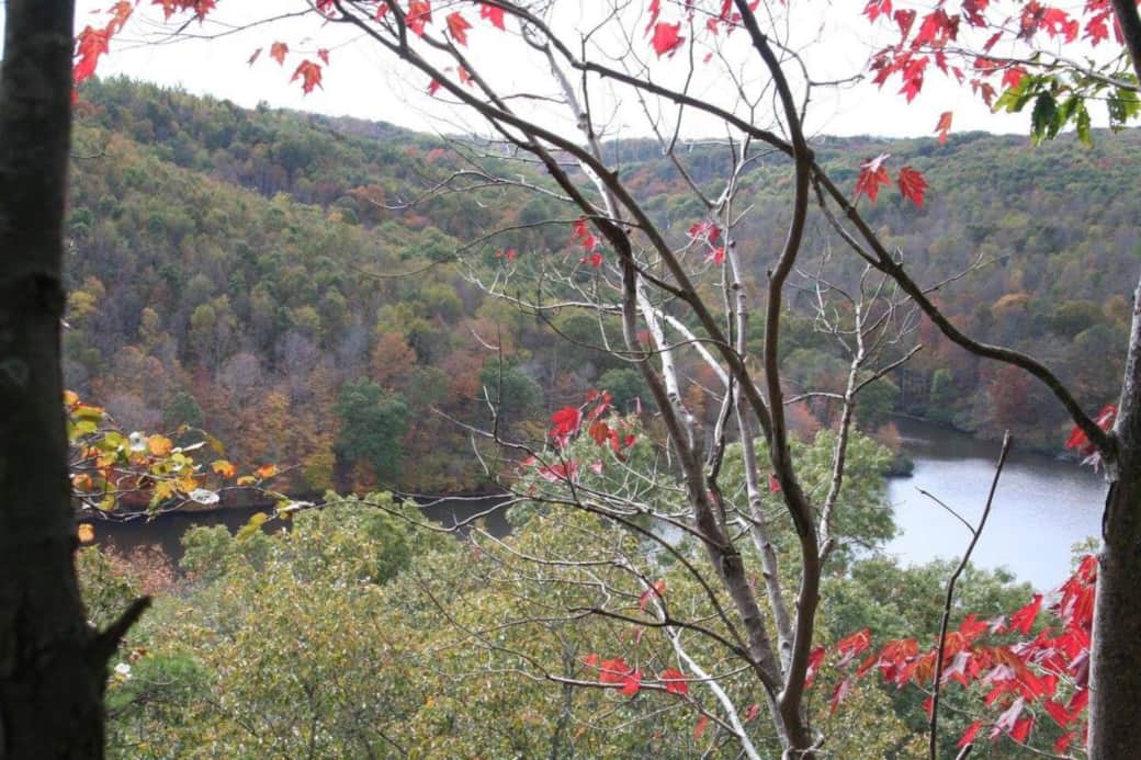 View of Big Rock Lake from Overlook Trail