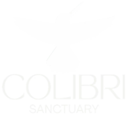 Colibri Single Person IKE