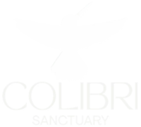 Colibri Single Person IKE