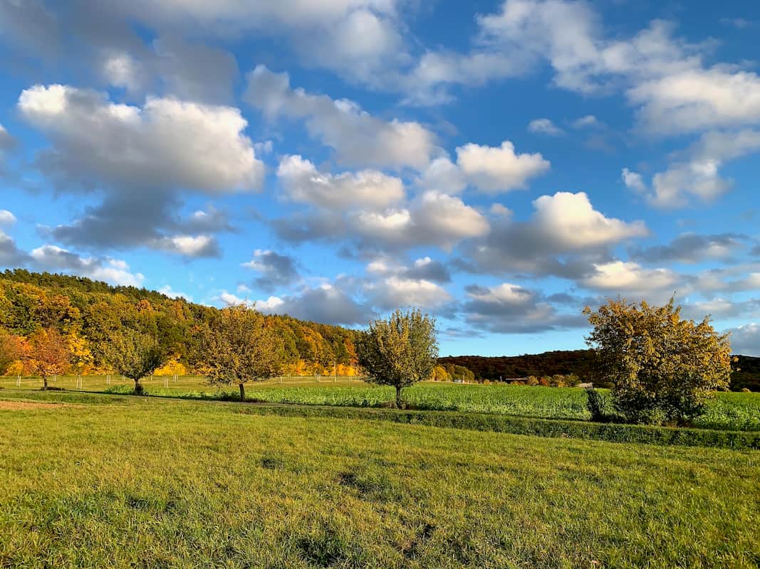 Herbststimmung bei Friesen. Herbststimmung bei Friesen.