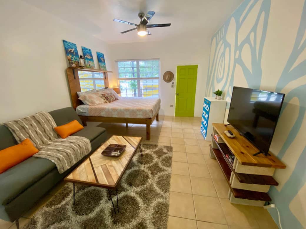 Turtle Cove 1 King Bed with Pool. Walk to Red Hook Apartment in East End