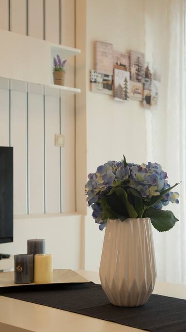 Luxury City Center Apartment