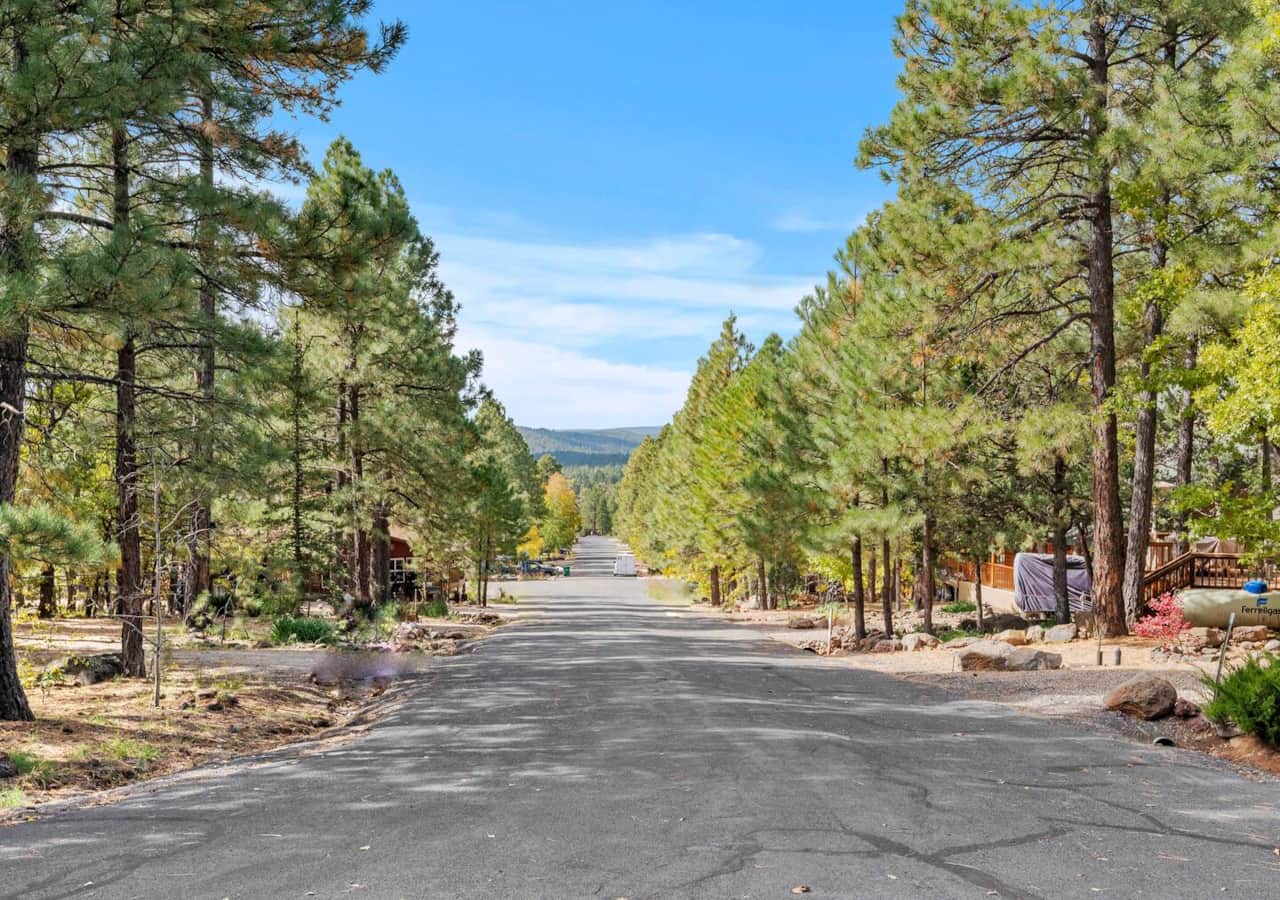 Scenic forest road leading to Munds Park cabin