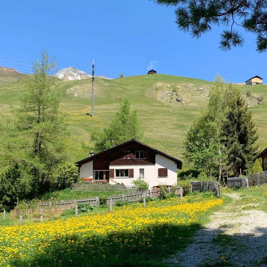 the house in spring