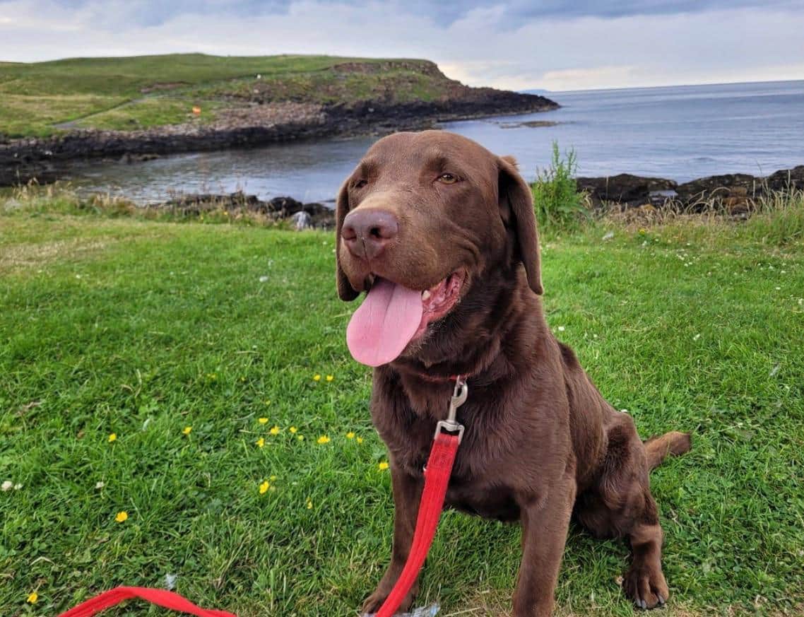 Poppy at Ramore head.jpg