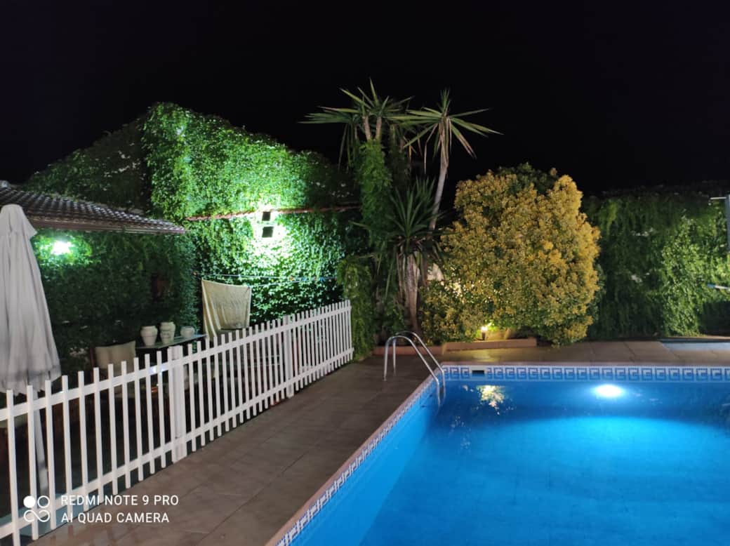 vista exterior de la piscina y la vegetación vista exterior de la piscina y la vegetación