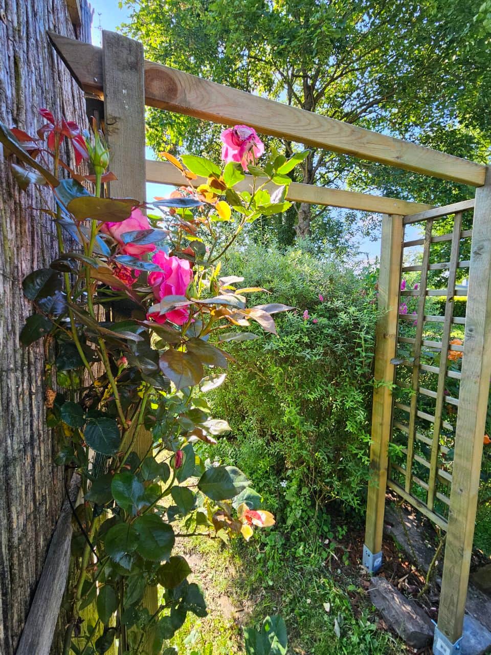 Garten, Terrasse und Spielplatz