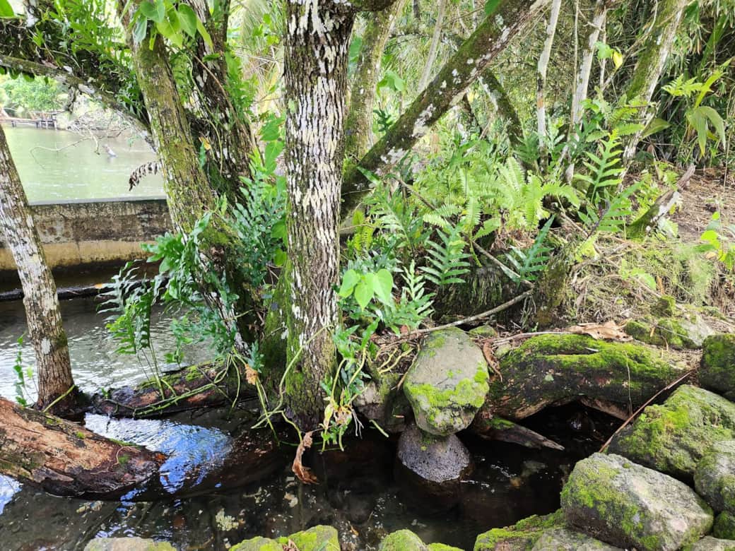 Source jardin