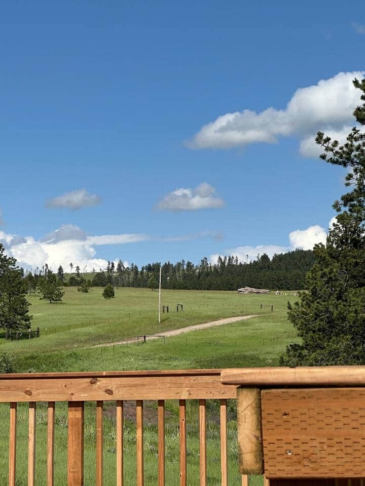 Road to the property 