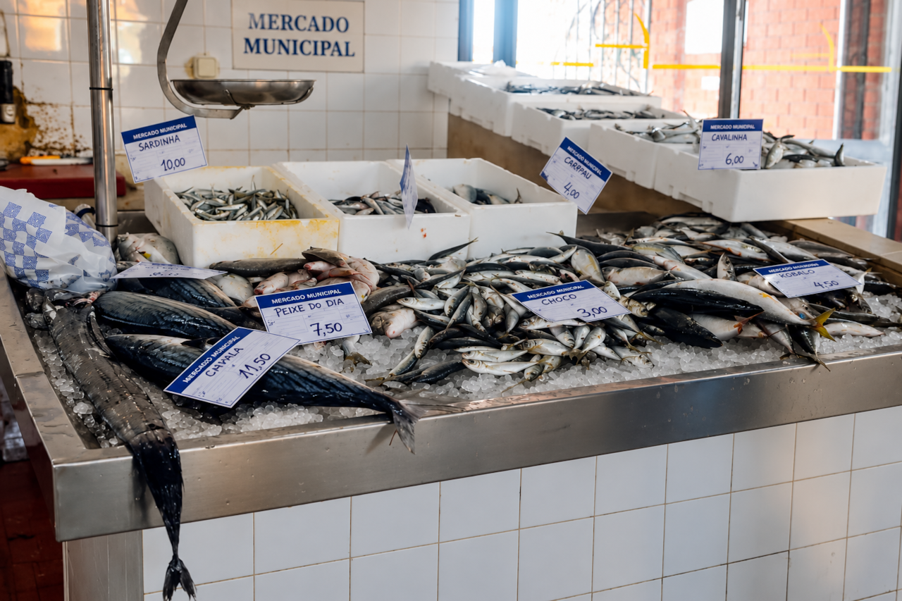 Visit a Local Fish Market
