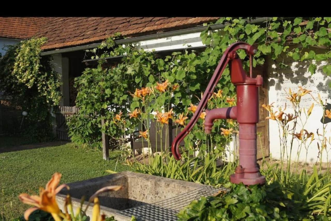 Garten