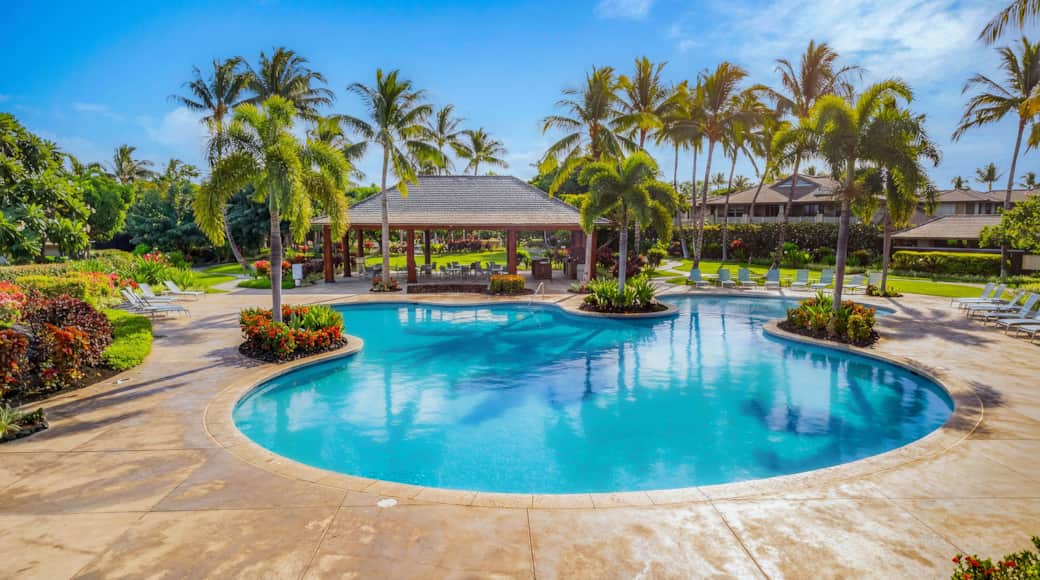 Large Ohana pool with loungers and cabanas, BBQ and outdoor dining, steps away from The 404.