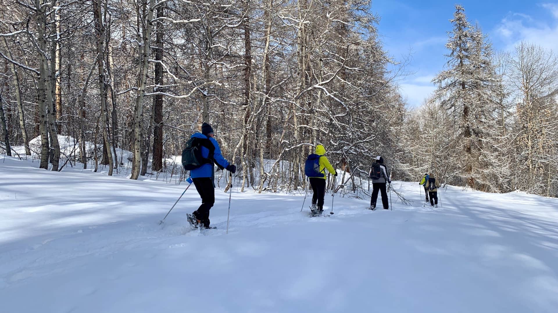 Randonnée en raquettes au départ du Chalet Mont Milo, Serre Chevalier Vallée