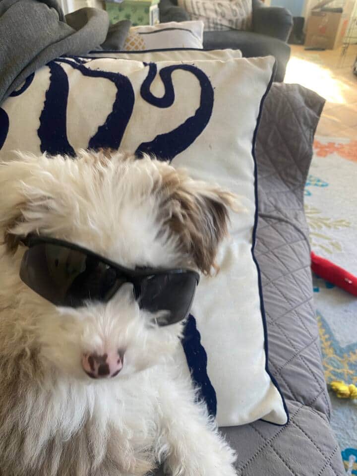 Captain says bring a friend, pets ok