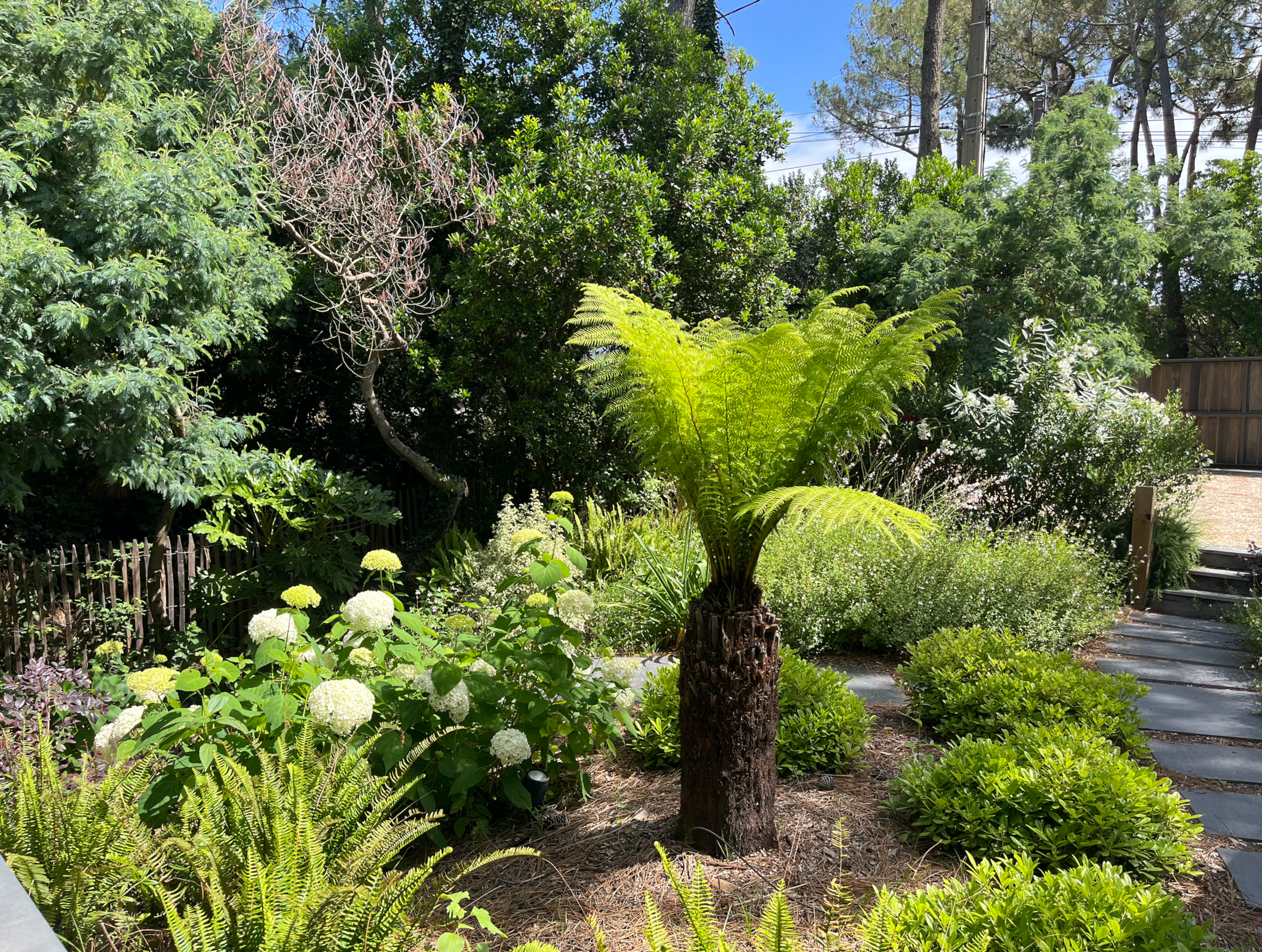 Villa Cap Ouest — photo 25
