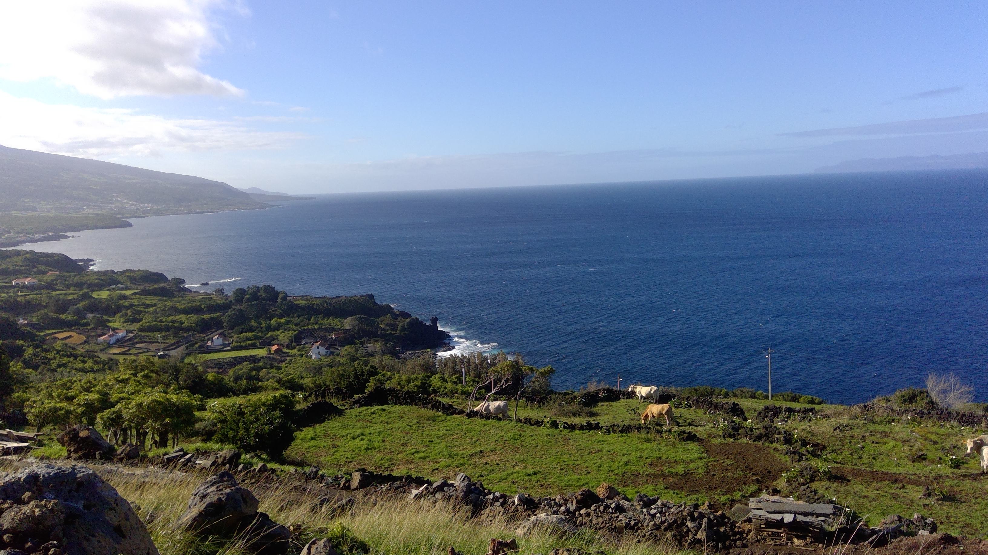 Vista mar / Sea view