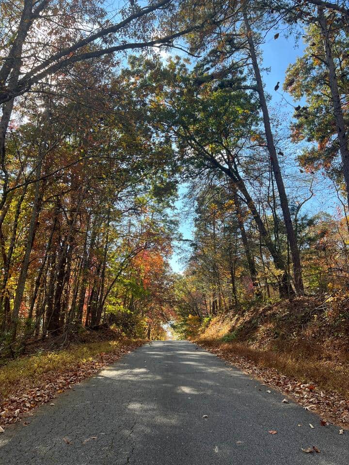 Our favorite view on drive in