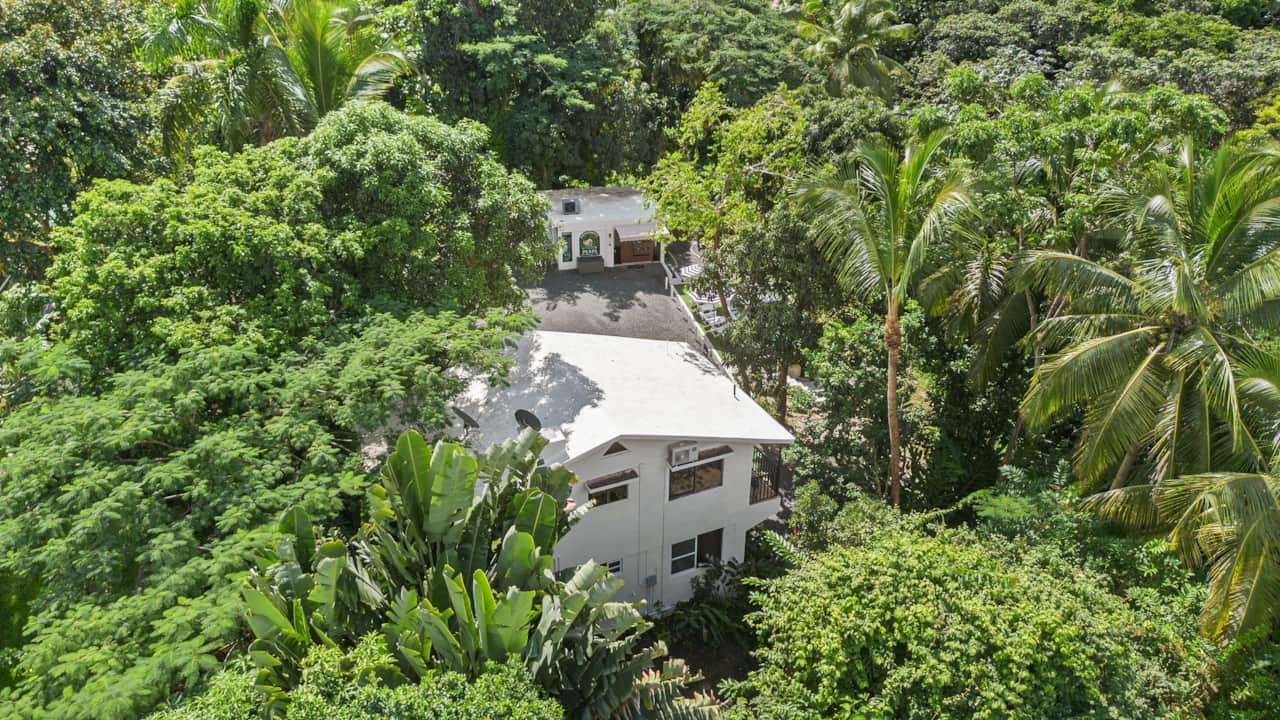 DJI_0445.jpg