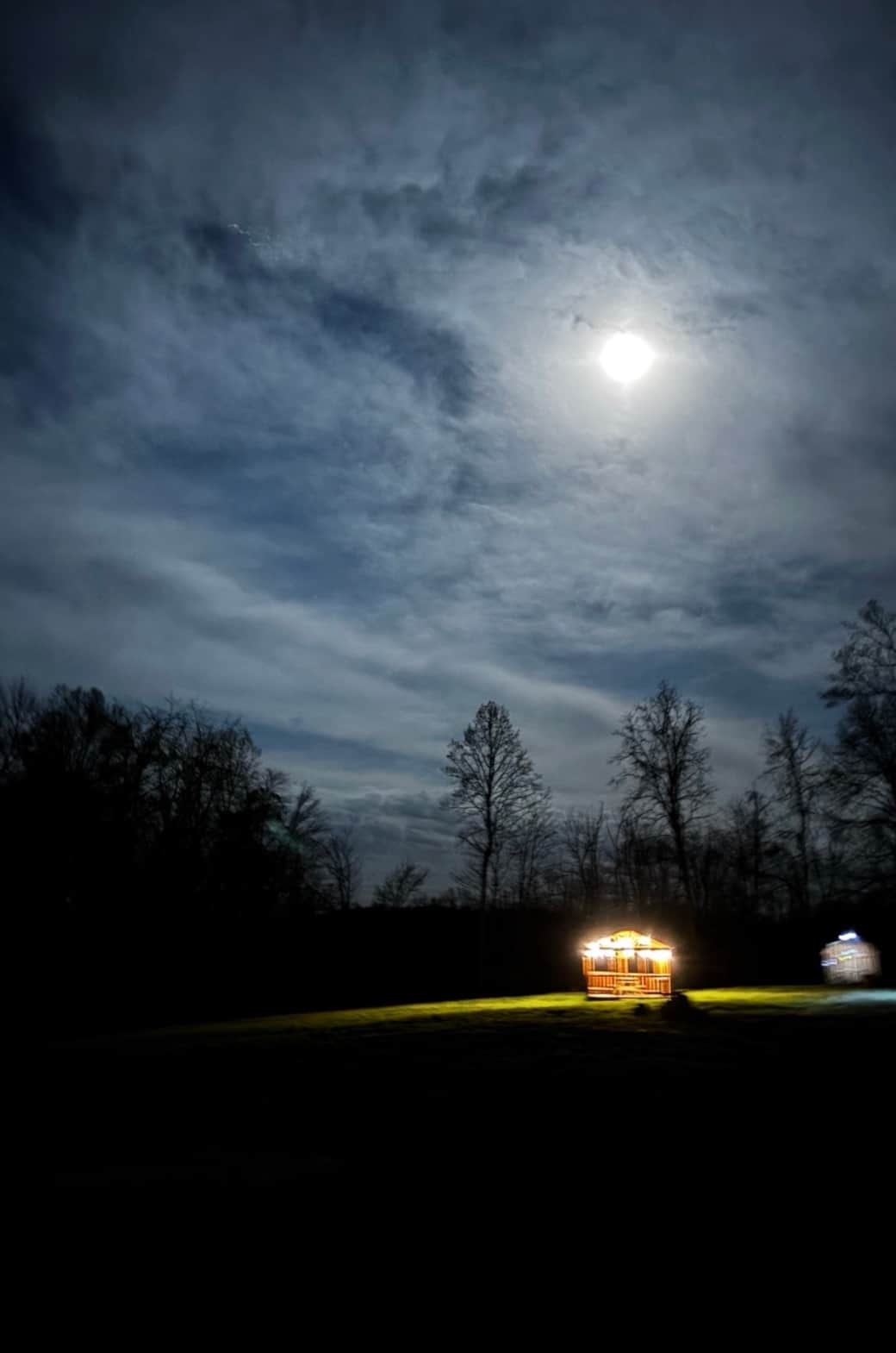 Peaceful night sky over the wooded property