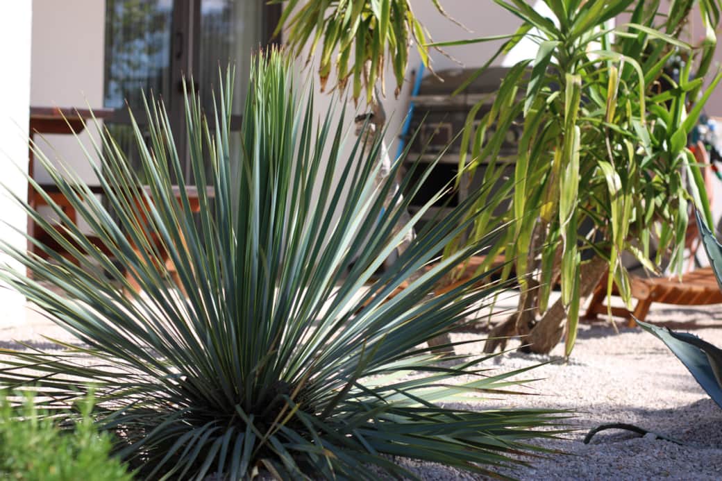 Apartment miran mudri dolac hvar garten 08