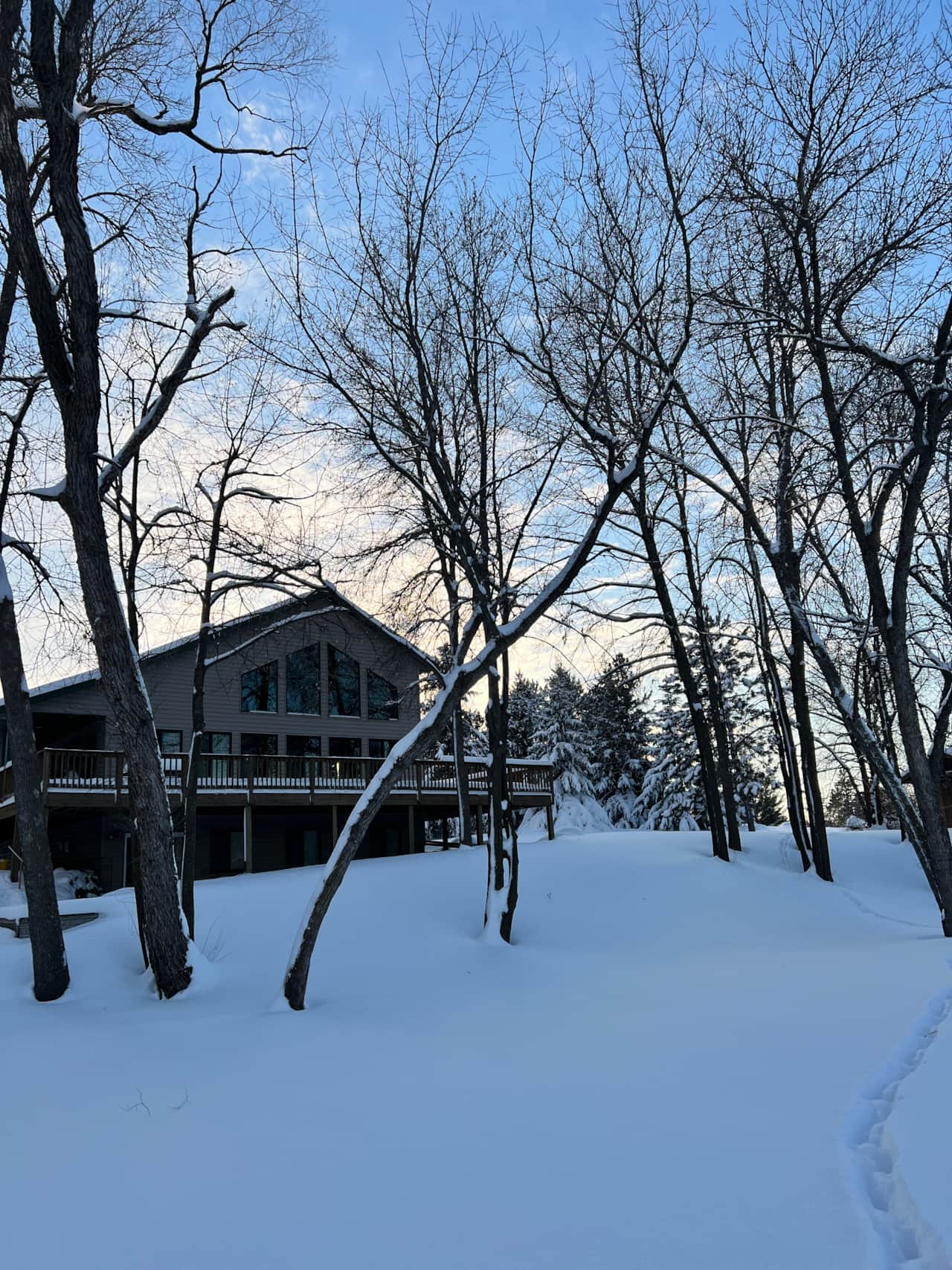 North side of cabin