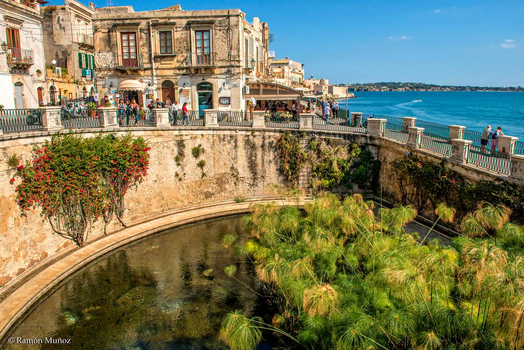 Fonte Aretusa and seafront in Ortigia Siracusa