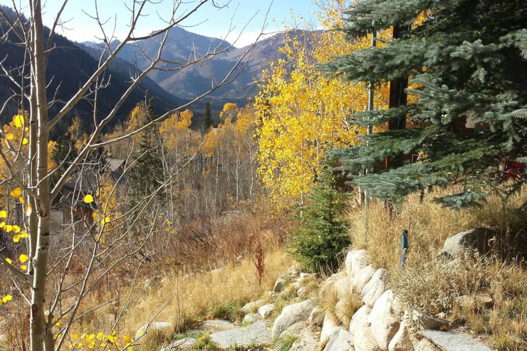 View down canyon from the back yard View down canyon from the back yard