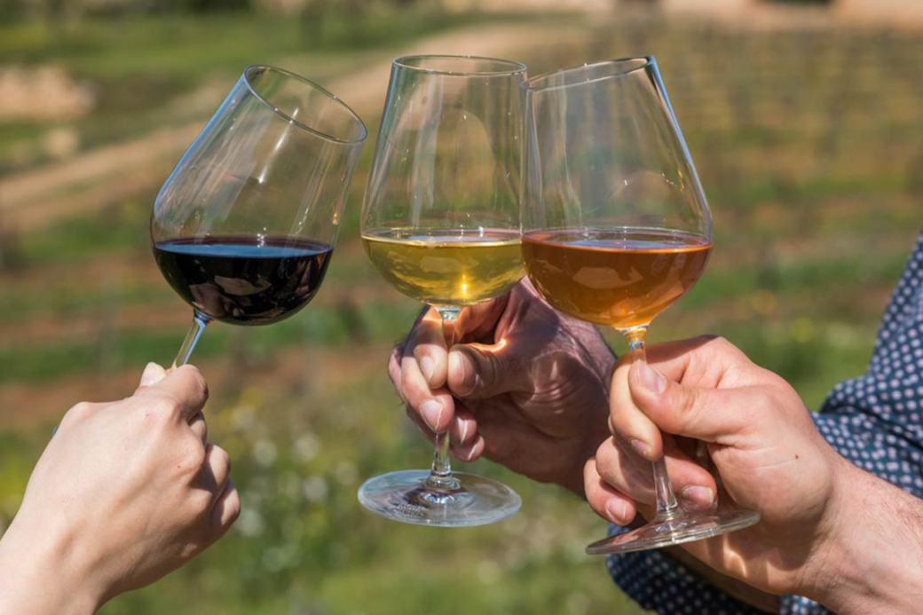 Tour de vinos y picnic campestre