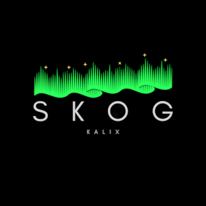 SKOG Team