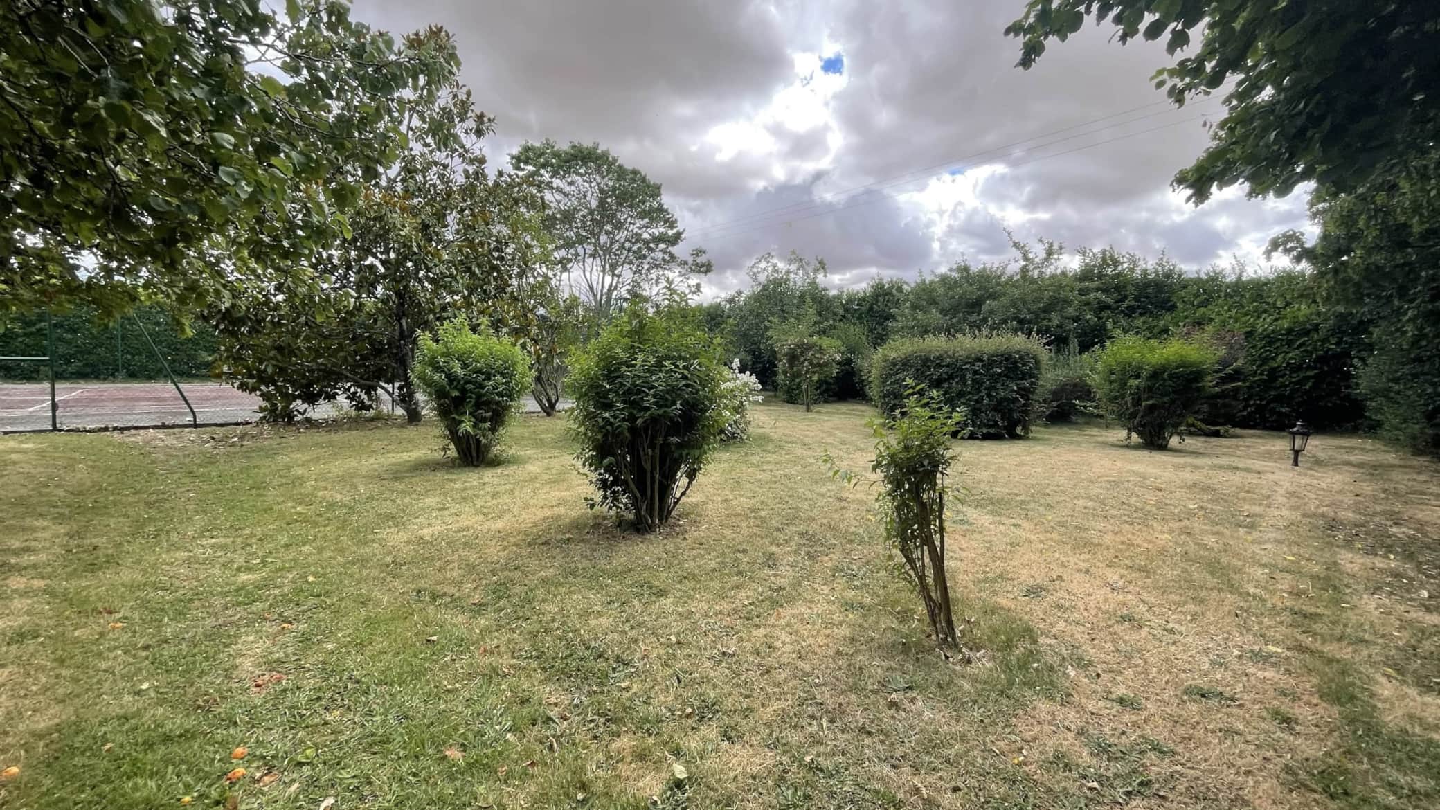Jardin 2.jpeg