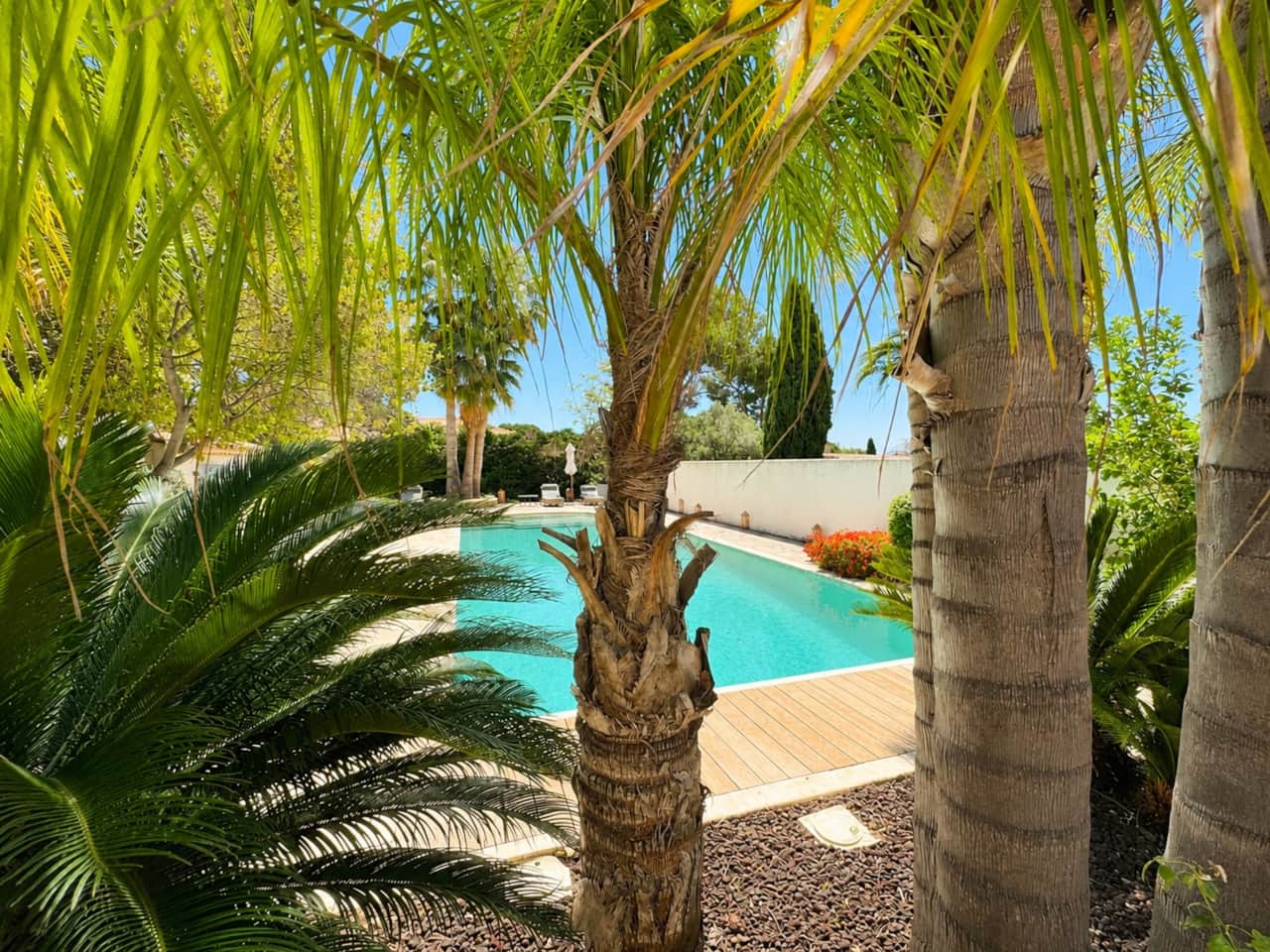 Piscine, jardin 