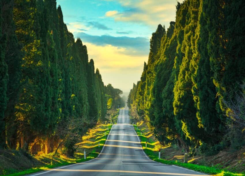 bolgheri-maremma.jpg