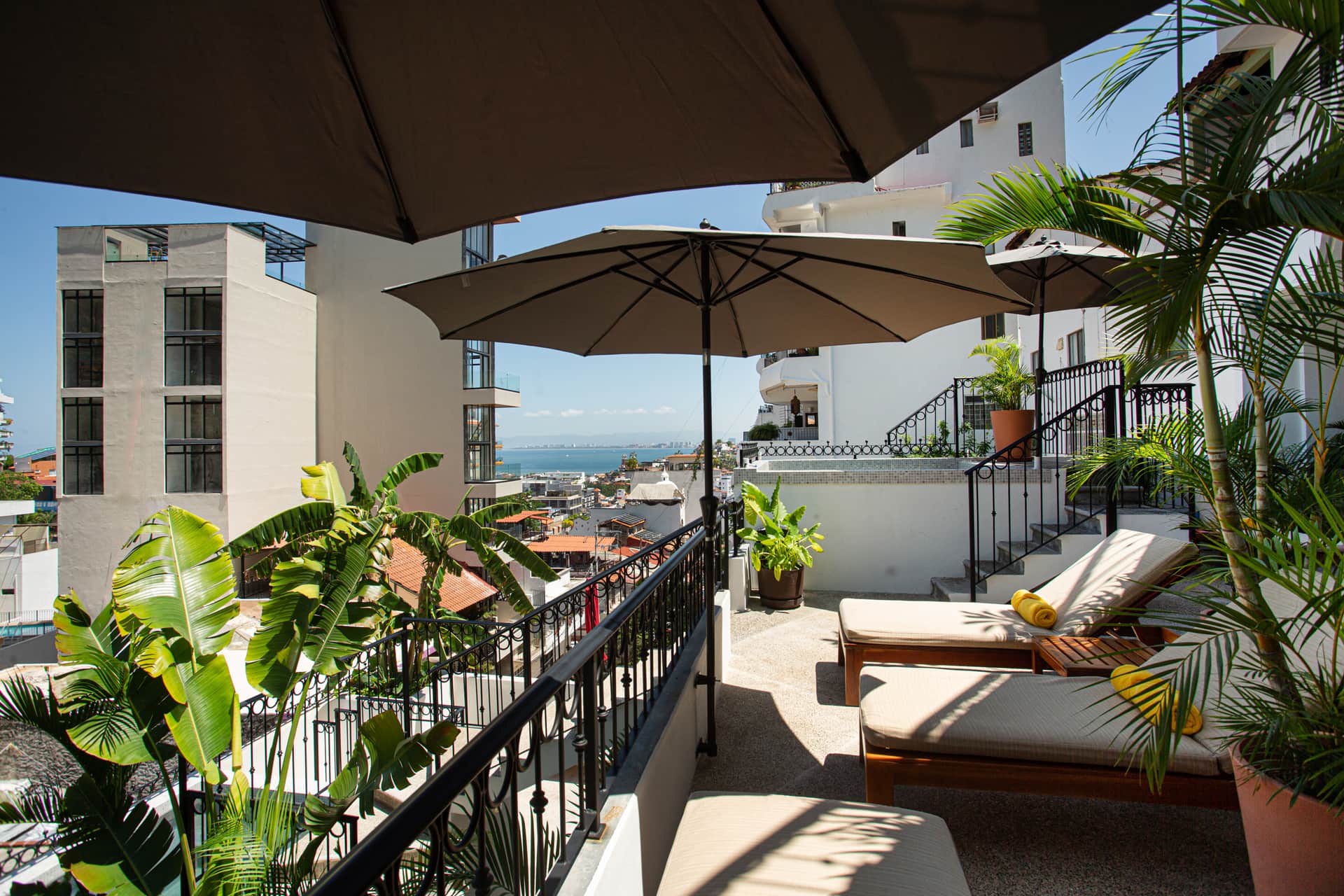 3E Terrace  - Photo Credit Josef Kandoll W.jpg