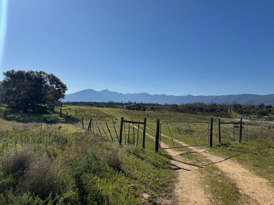 IMG_4697 (1) IMG_4697 (1)