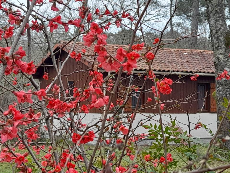 Couleur d'Automne