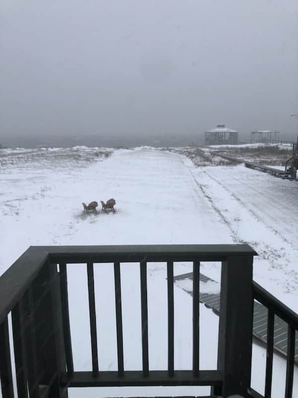 Snow Day 7.jpg