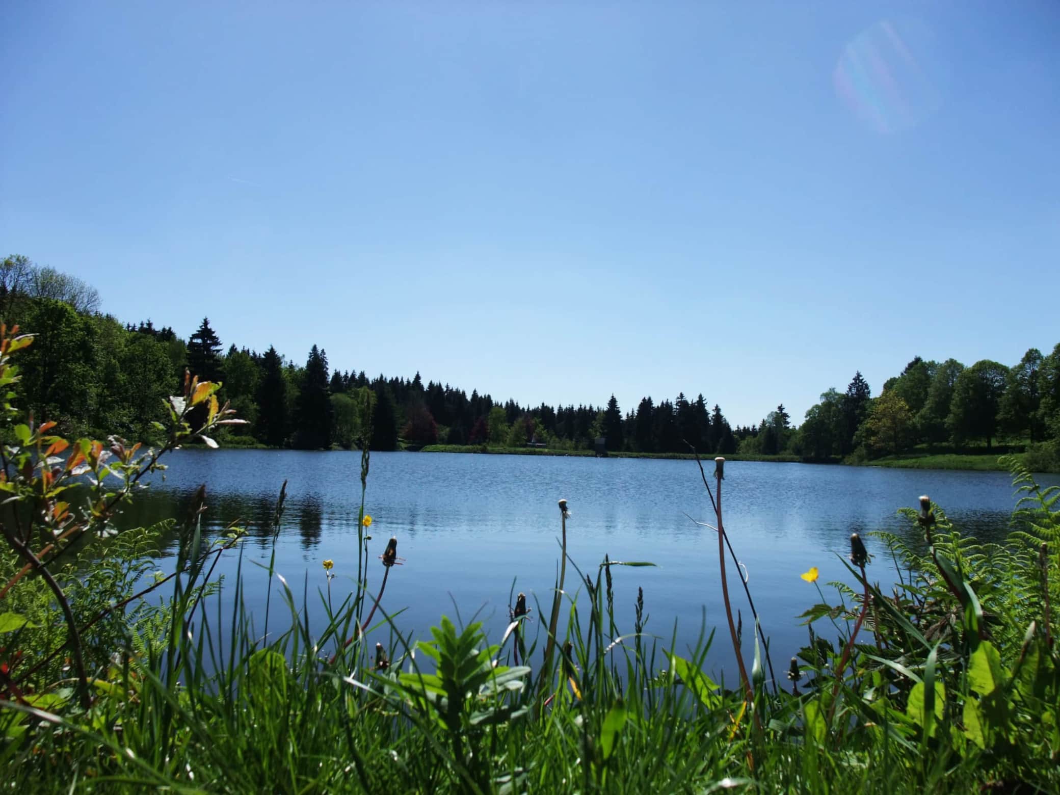 Sommerimpression Kurpark
