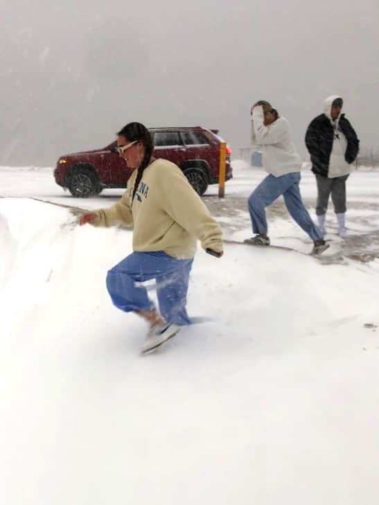 Winter Storm Playing in the Snow.jpg